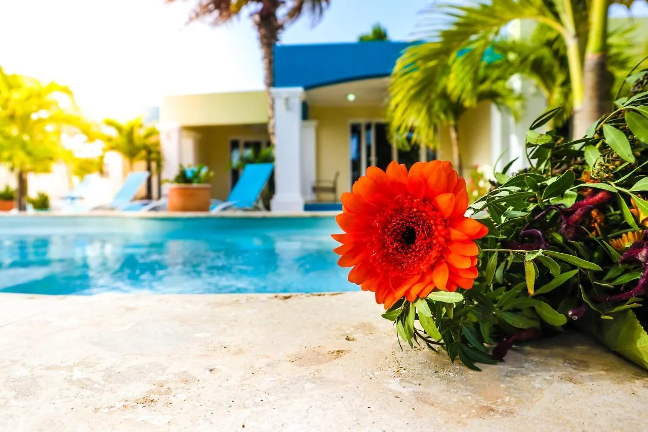 Hotel Aqua Viva Suites Kralendijk